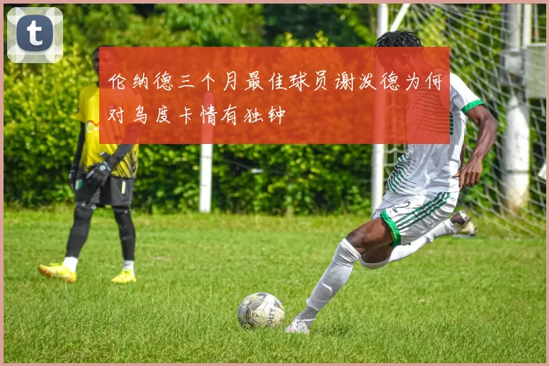 伦纳德三个月最佳球员谢泼德为何对乌度卡情有独钟